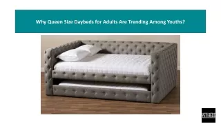 Why Queen Size Daybeds for Adults Are Trending Among Youths?
