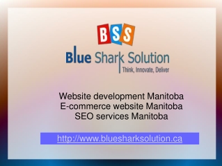 Website development Manitoba – escalate your online business