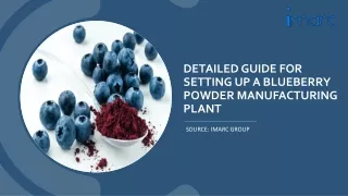 Costs Involve in Blueberry Powder Manufacturing Plant Report PDF