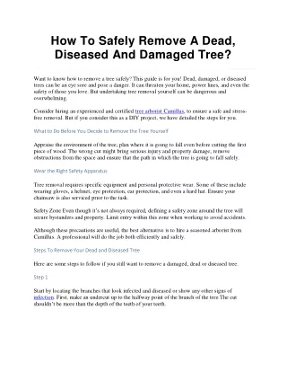 How To Safely Remove A Dead, Diseased And Damaged Tree?