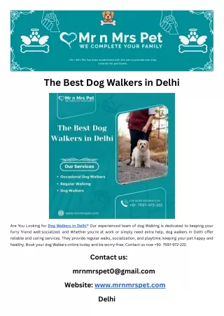 The Best Dog Walkers in Delhi