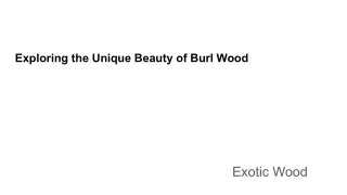 Exploring the Unique Beauty of Burl Wood