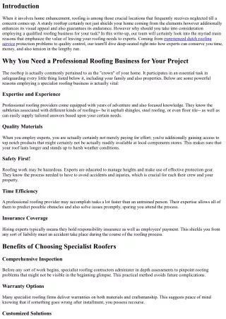 Why You Need an Expert Roofing Business for Your Project