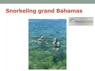 Snorkeling grand Bahamas