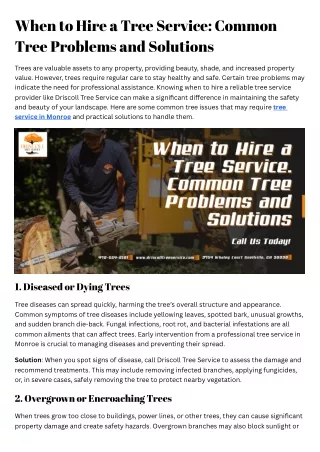 When to Hire a Tree Service Common Tree Problems and Solutions