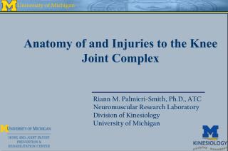 Anatomy of and Injuries to the Knee Joint Complex