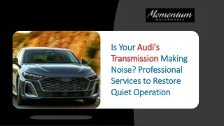 Is Your Audi's Transmission Making Noise Professional Services to Restore Quiet Operation