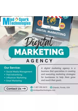 Digital marketing Services in Orlando, Florida: Mind Spark Technologies