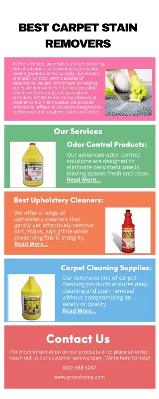 Best Carpet Stain Removers (1)