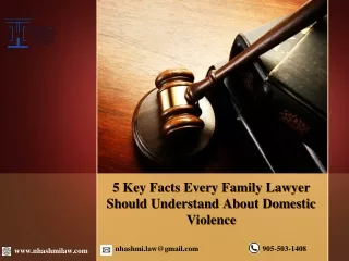 5 Key Facts Every Family Lawyer Should Understand About Domestic Violence