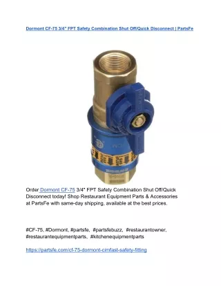 Dormont CF-75 3_4_ FPT Safety Combination Shut Off_Quick Disconnect _ PartsFe