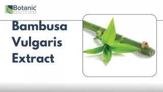 Bambusa vulgaris extract