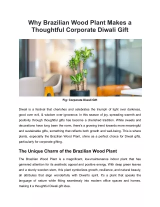Brazilian Wood Plant Makes a Thoughtful Corporate Diwali Gift