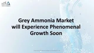 Grey Ammonia Market ppt