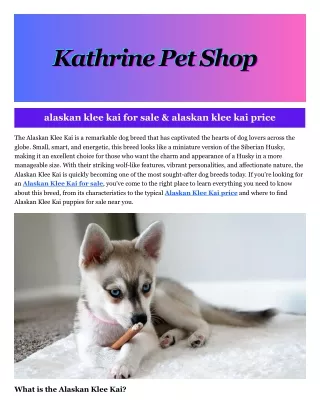alaskan klee kai for sale