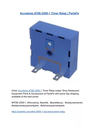 Accutemp AT0E-2500-1 Timer Relay _ PartsFe