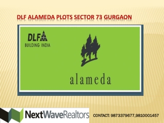 DLF Alameda Gurgaon