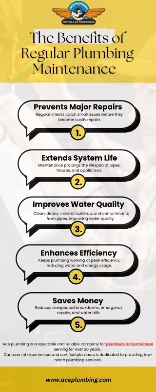 The Benefits of Regular Plumbing Maintenance