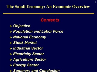 The Saudi Economy: An Economic Overview