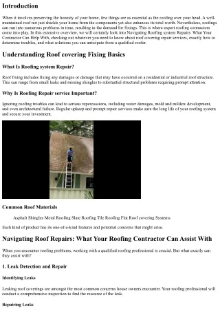 Navigating Roof Services: What Your Roofing Professional Can Assist With