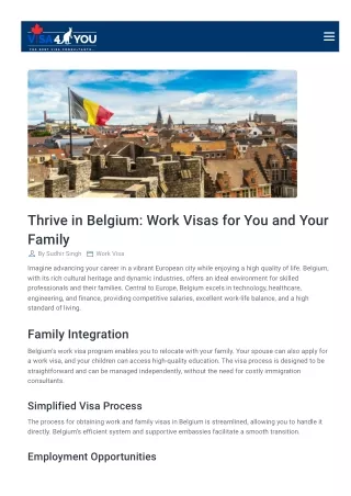 Thrive in Belgium: Work Visas for You and Your Family | Visa4You