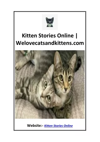 Kitten Stories Online  Welovecatsandkittens.com