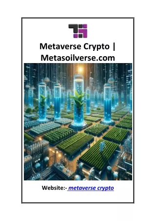 Metaverse Crypto  Metasoilverse.com