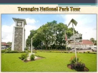 Tarangire National Park Tour