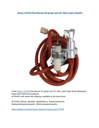 Groen 127578 Pilot BurOrder Groen 1275ner W_ ignitor and 42_ Wire Lead _ PartsFe