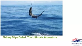 Fishing Trips Dubai The Ultimate Adventure