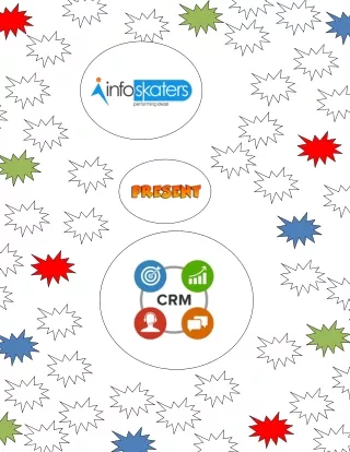CRM Software Pro