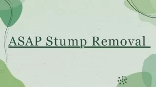 Stump Grinder Hire on the Gold Coast"