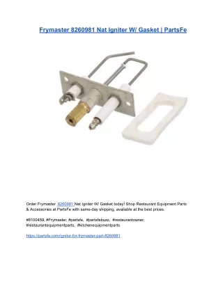 Frymaster 8260981 Nat Igniter W_ Gasket _ PartsFe