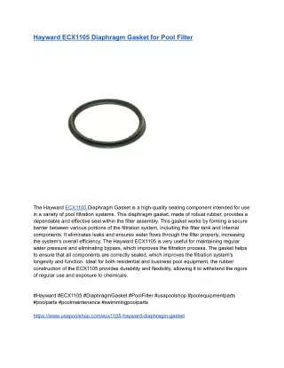 Hayward ECX1105 Diaphragm Gasket for Pool Filter