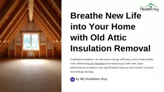 Breathe New Life into Your Home with Old Attic Insulation Removal