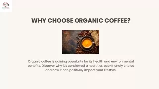 Organic Coffee Health, Sustainability, and Smarter Choices for Students