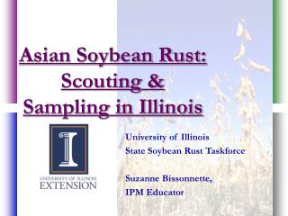 Asian Soybean Rust: Scouting &amp; Sampling in Illinois