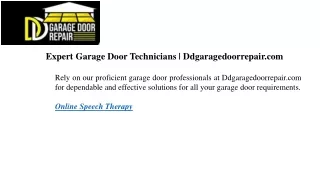Expert Garage Door Technicians Ddgaragedoorrepair.com