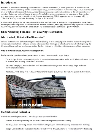 Historic Roof Covering Remediation: Protecting Heritage in Roosendaal