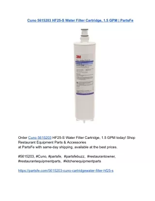 Cuno 5615203 HF25-S Water Filter Cartridge, 1