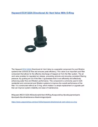 Hayward ECX1322A Directional Air Vent Valve With O-Ring