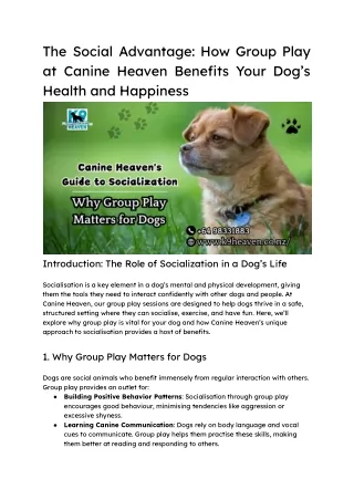 The Social Advantage- How Group Play at Canine Heaven Benefits Your Dog’s Health and Happiness