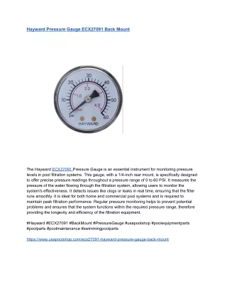 Hayward Pressure Gauge ECX27091 Back Mount