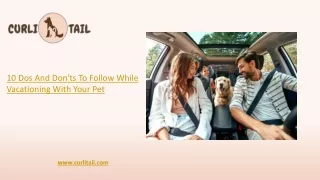 10 Dos And Don'ts To Follow While Vacationing With Your Pet