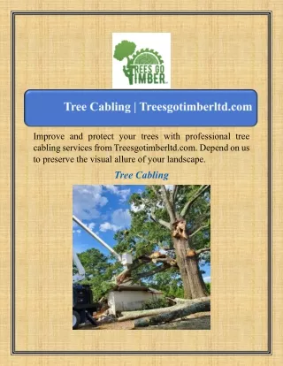 Tree Cabling | Treesgotimberltd.com