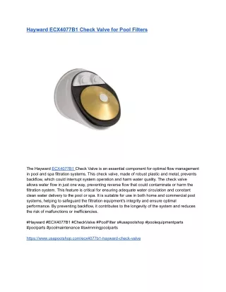 Hayward ECX4077B1 Check Valve for Pool Filters