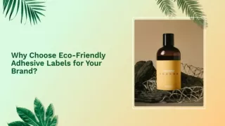 Choose Eco-Friendly Adhesive Labels for Your Brand