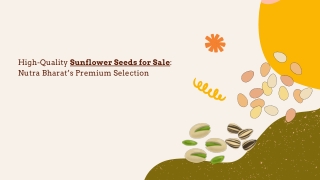 High-Quality Sunflower Seeds for Sale Nutra Bharat’s Premium Selection