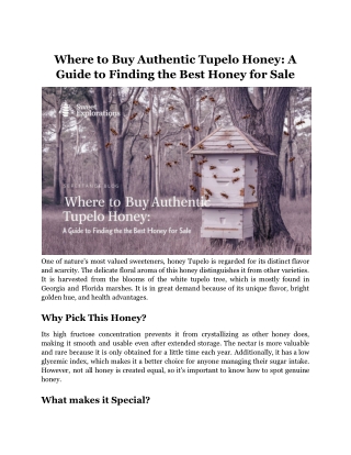 Where to Buy Authentic Tupelo Honey_ A Guide to Finding the Best Honey for Sale
