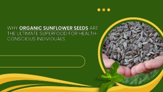 Why Organic Sunflower Seeds Are the Ultimate Superfood for Health-Conscious Individuals